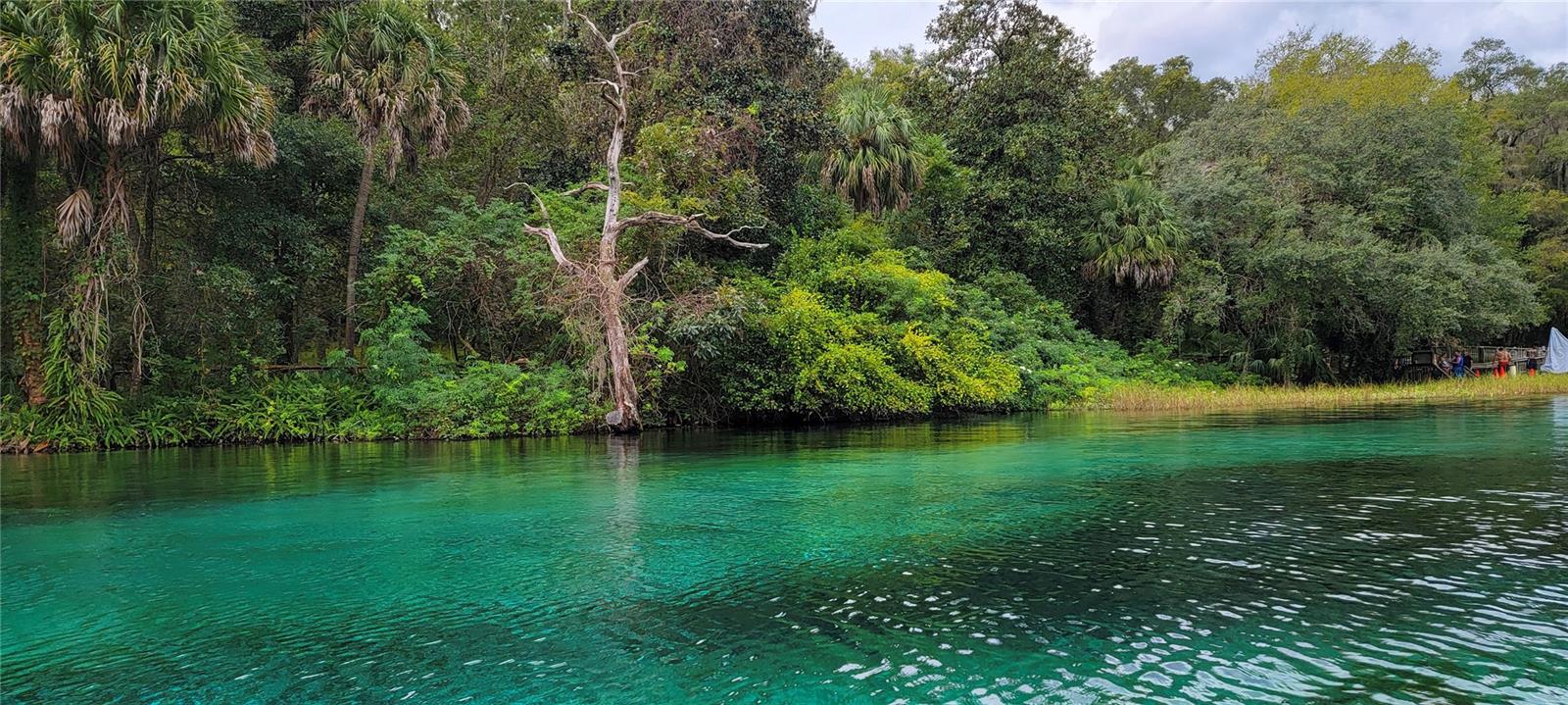 Image 89 of 91 For 19660 83rd Place Road C16