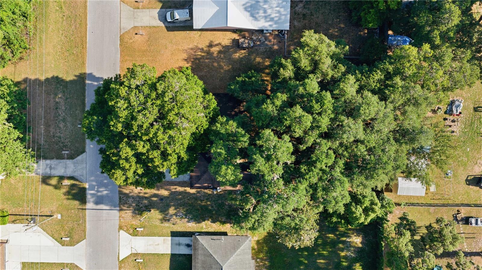 Image 28 of 29 For 5521 11th Avenue