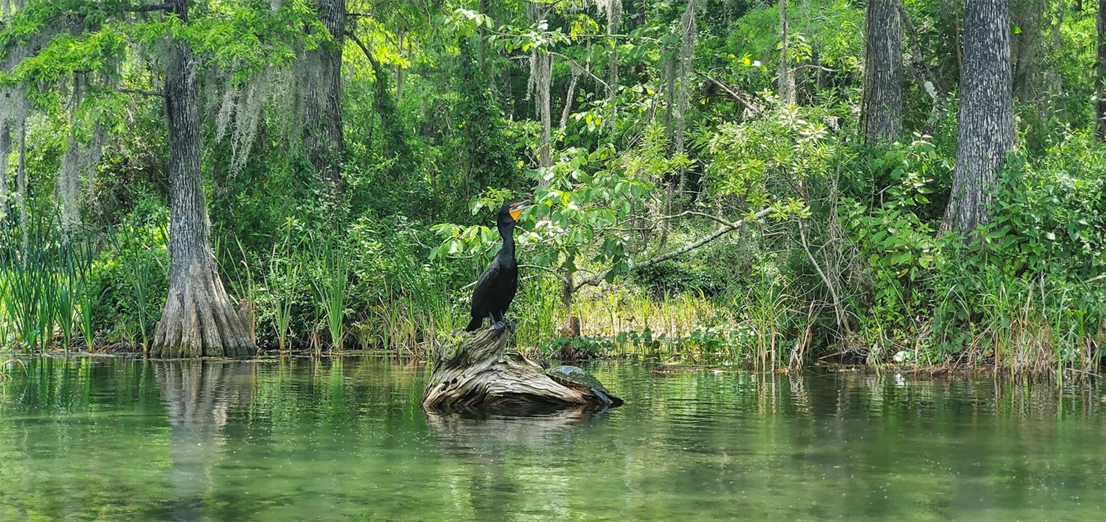 Image 50 of 50 For 19056 Saint Benedict Drive