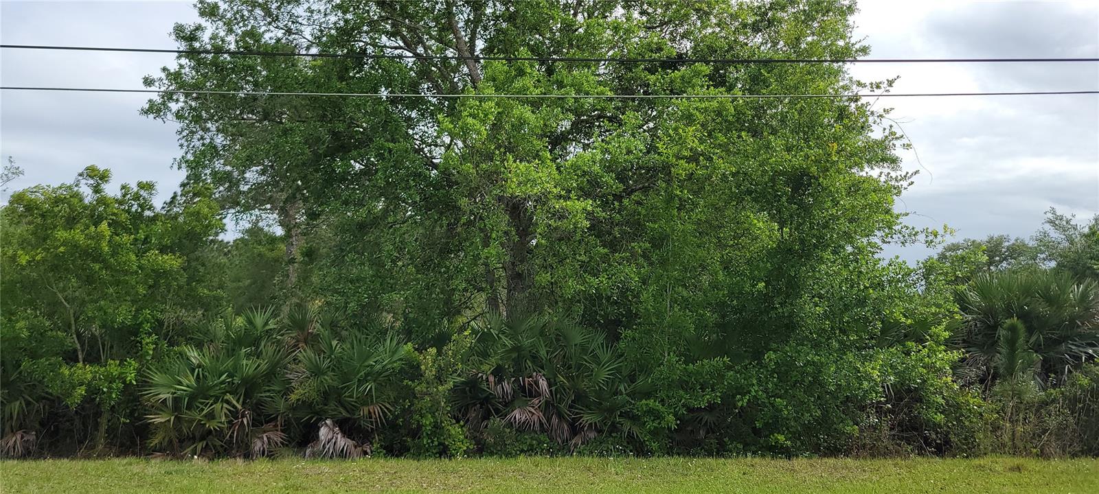 Details for Ralston Street, ORLANDO, FL 32833