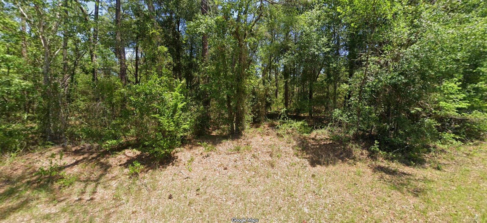 Listing Details for Buena Vista Rd, DUNNELLON, FL 34431
