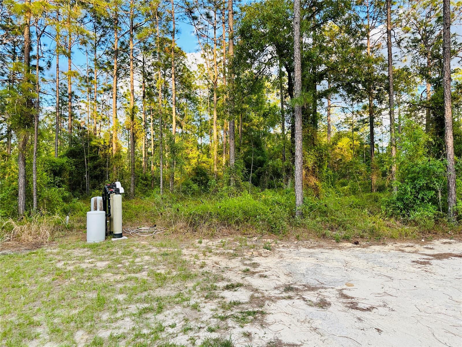 Image 41 of 43 For 14251 21st Place