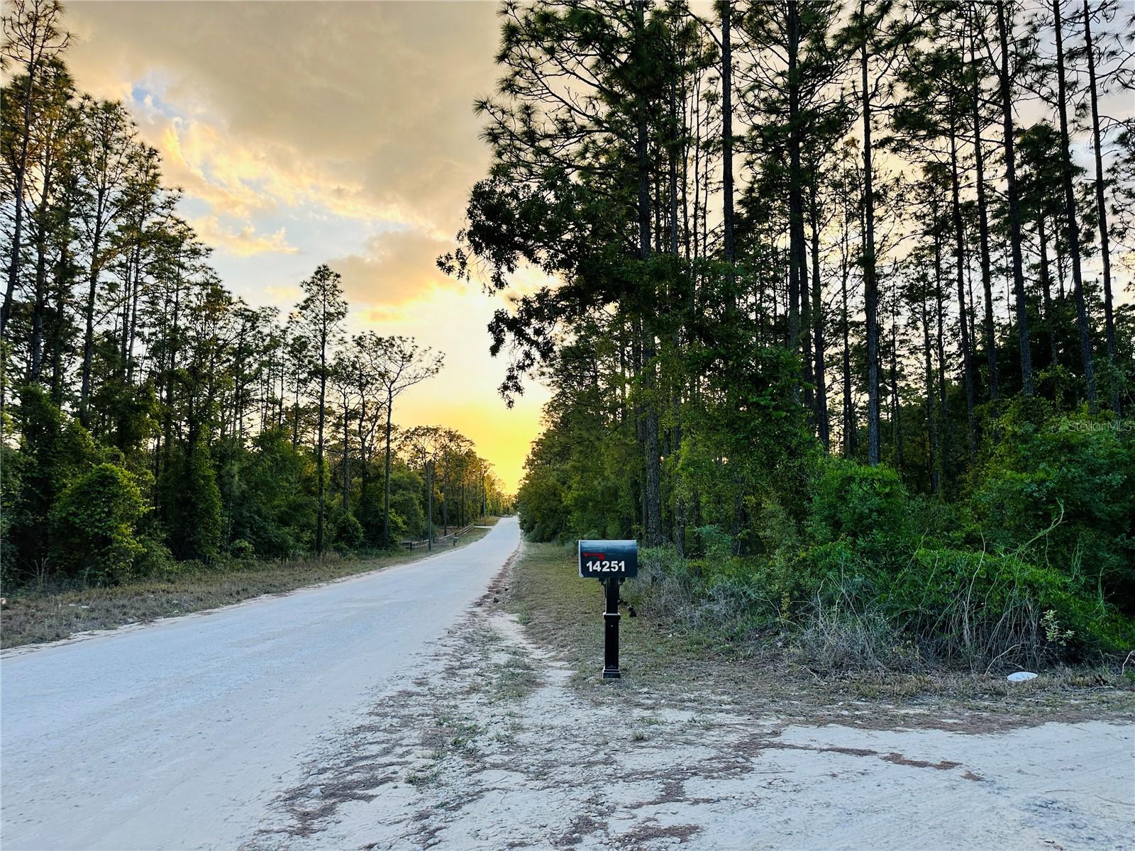 Image 43 of 43 For 14251 21st Place