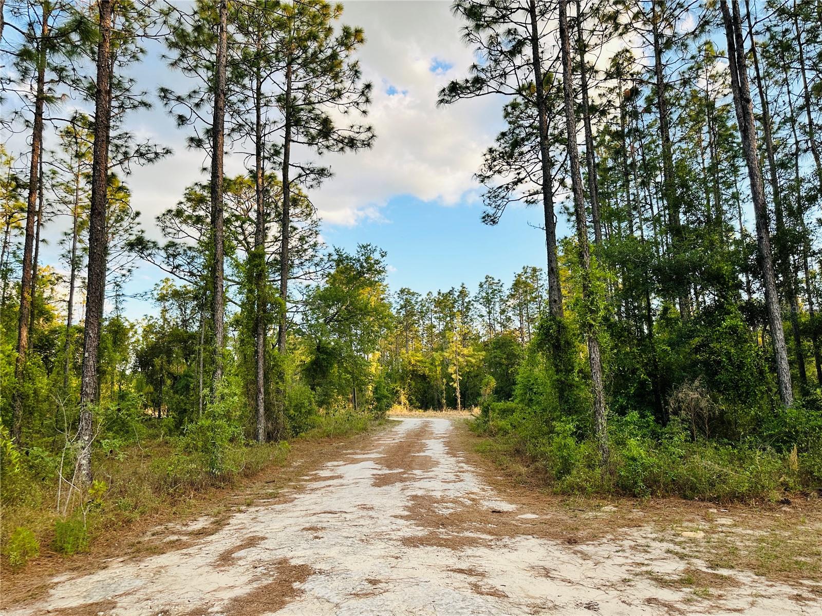 Image 9 of 43 For 14251 21st Place