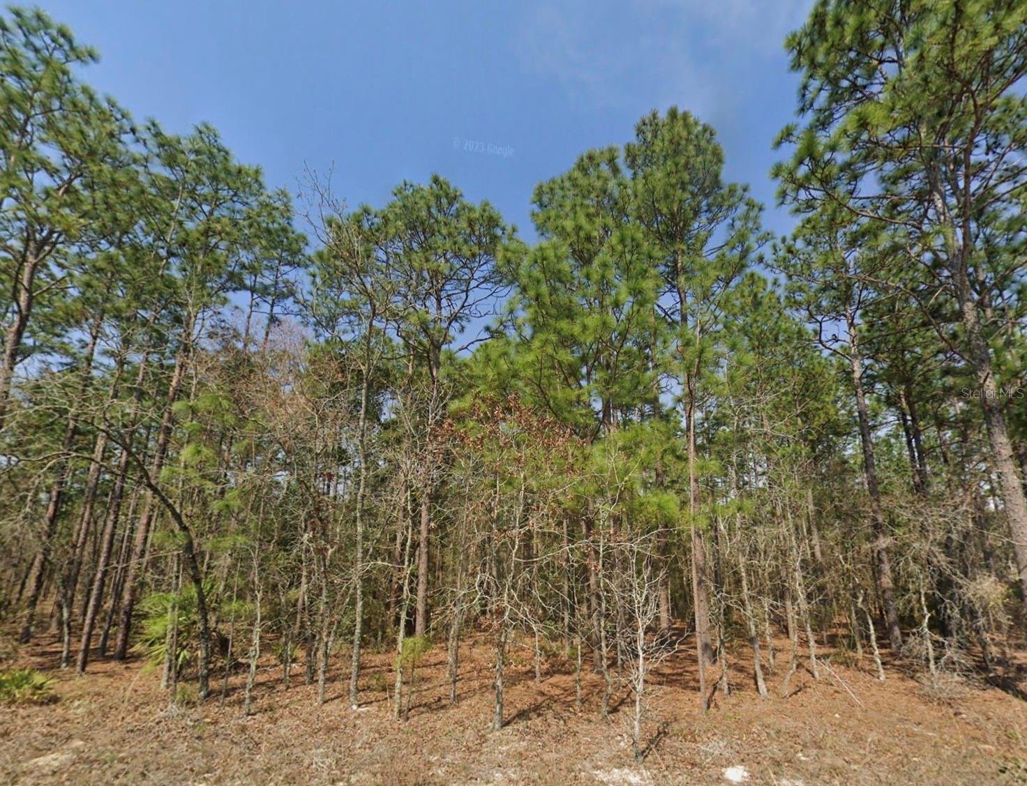 Details for Tbd (lot 12) 128th Terrace Road, OCALA, FL 34481