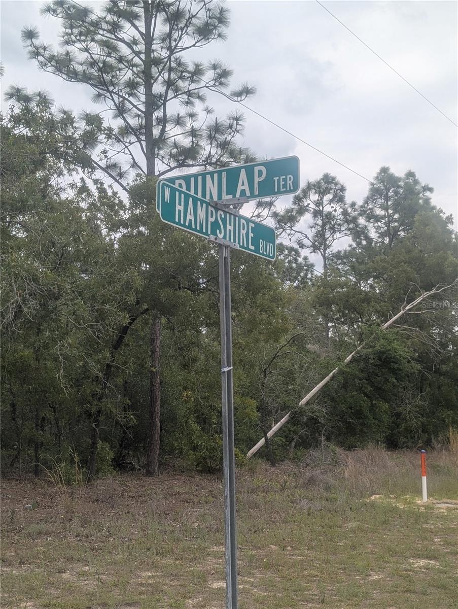 Image 2 of 12 For 6443 Dunlap Terrace