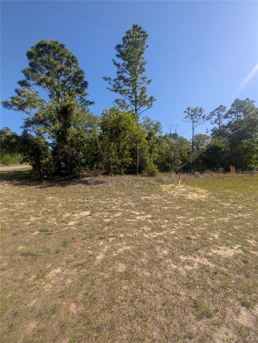 Image 6 of 12 For 6443 Dunlap Terrace