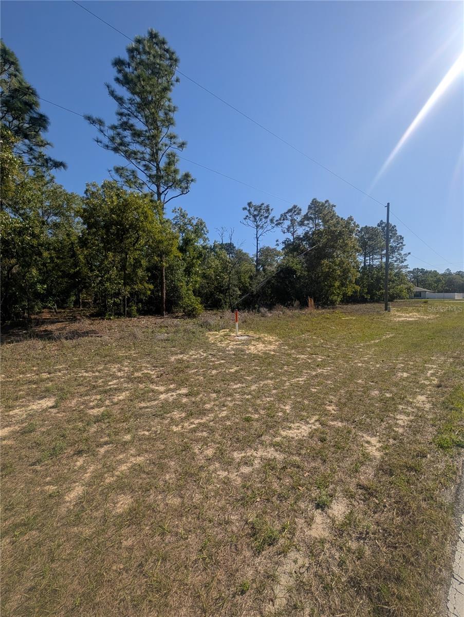 Image 7 of 12 For 6443 Dunlap Terrace