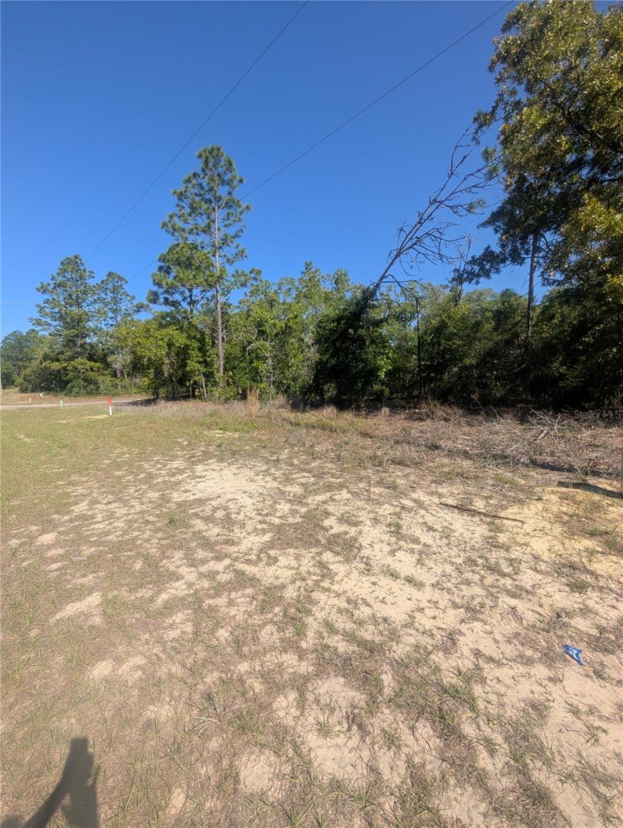 Image 9 of 12 For 6443 Dunlap Terrace