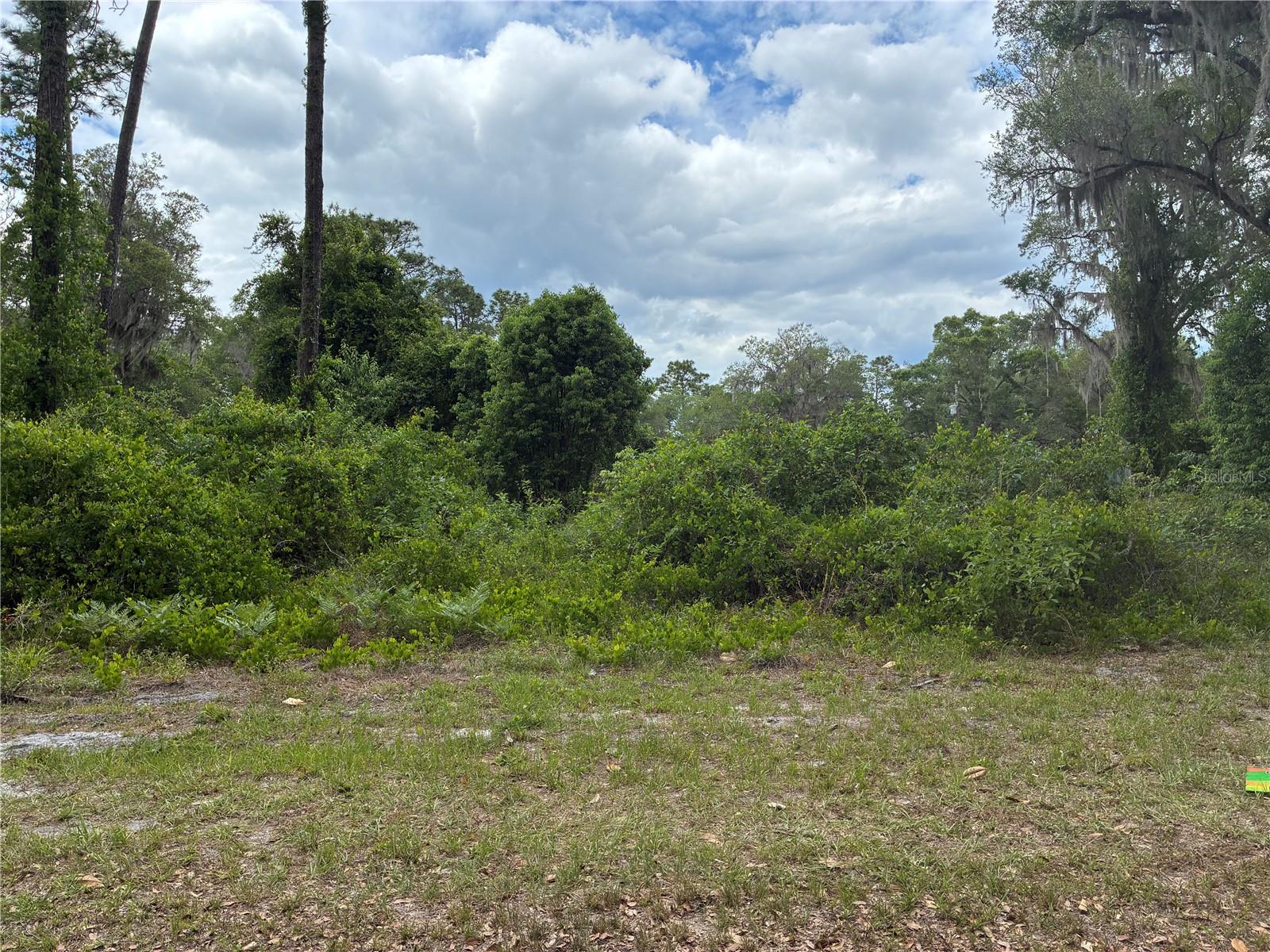 Details for 00 87 Street, OCKLAWAHA, FL 32179
