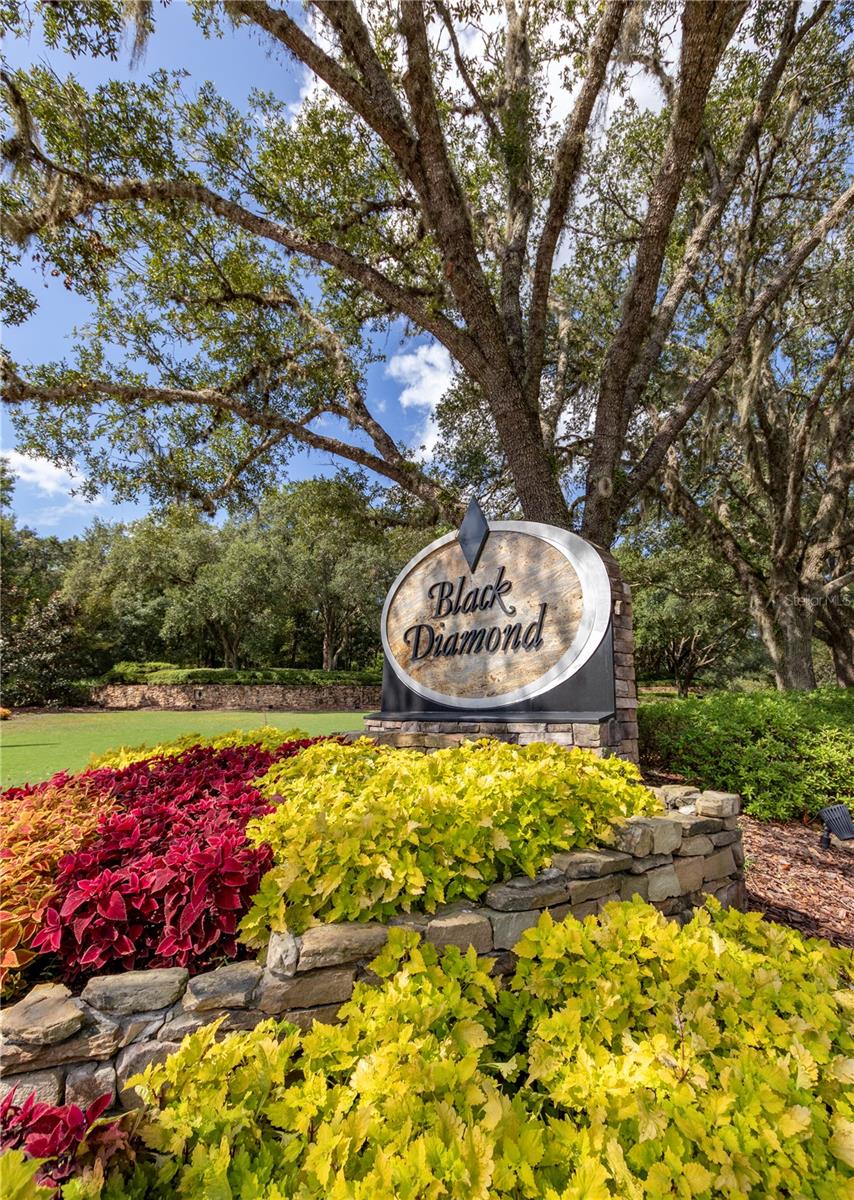 Image 45 of 55 For 3099 Barton Creek Circle