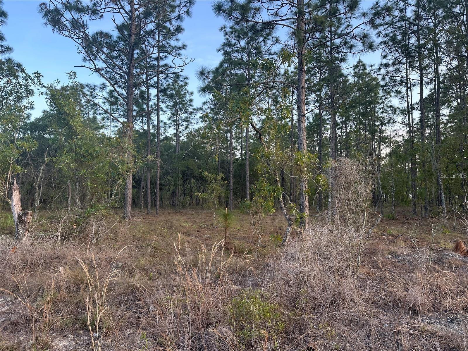 Details for Lot 3 Amberjack Ave., DUNNELLON, FL 34431