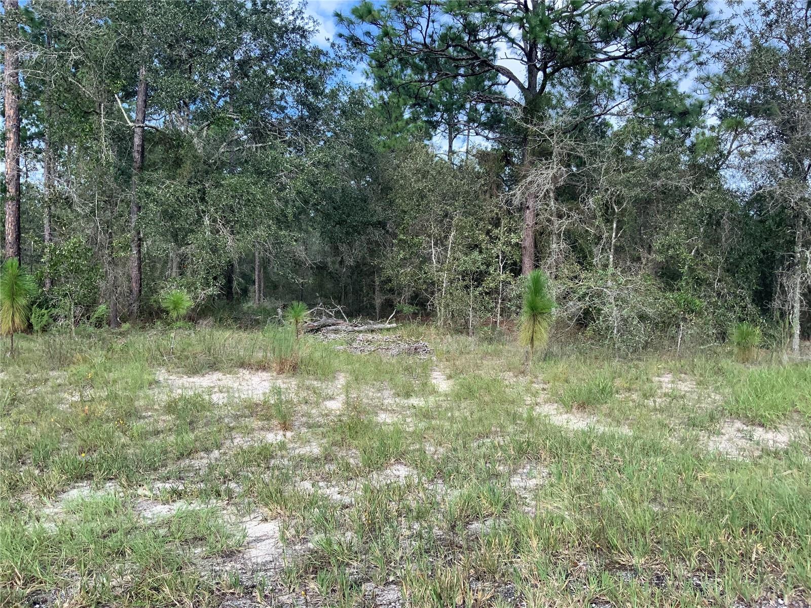 Image 2 of 5 For 00 139th Lot 23 Terrace