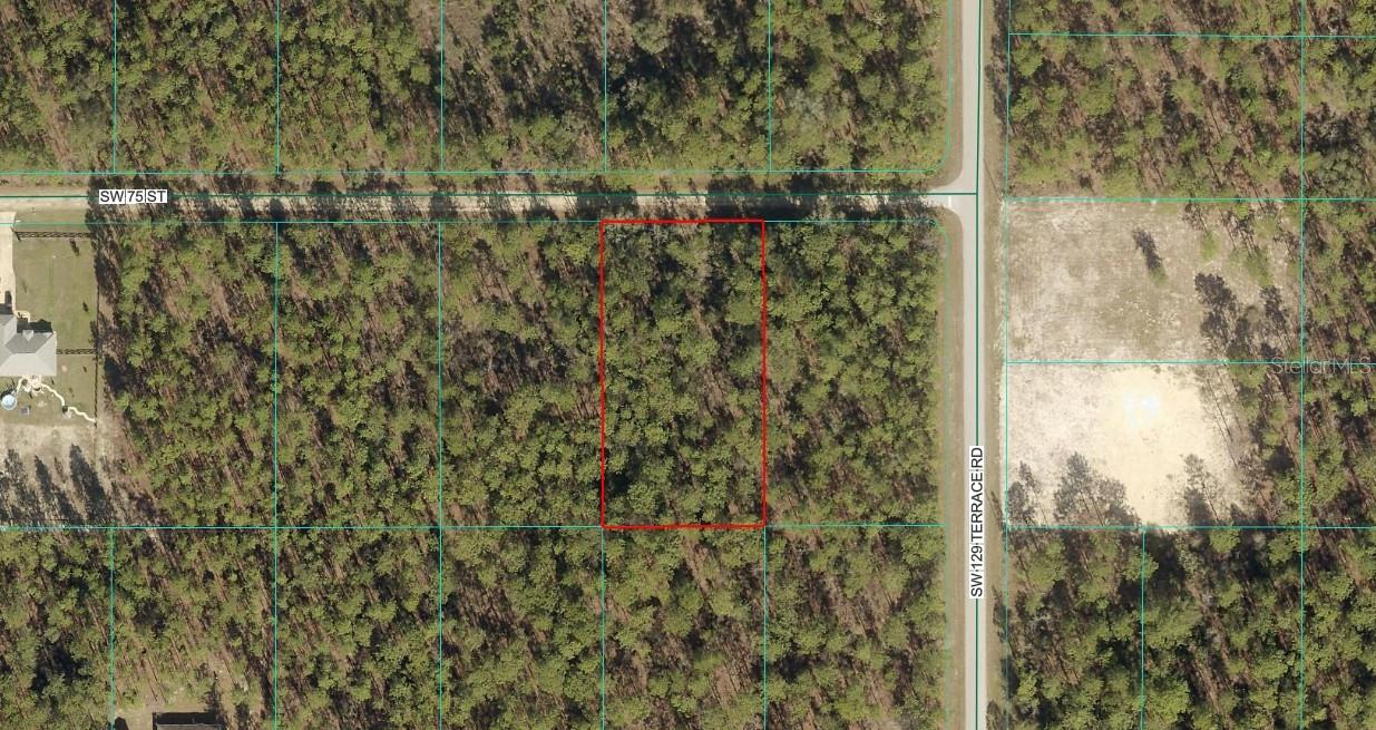 Listing Details for Tbd Lot 8 75th Street, DUNNELLON, FL 34432
