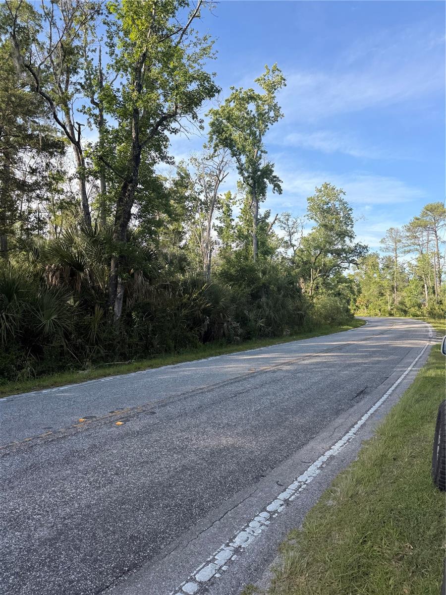 Image 12 of 14 For 10274 Ozello Trail