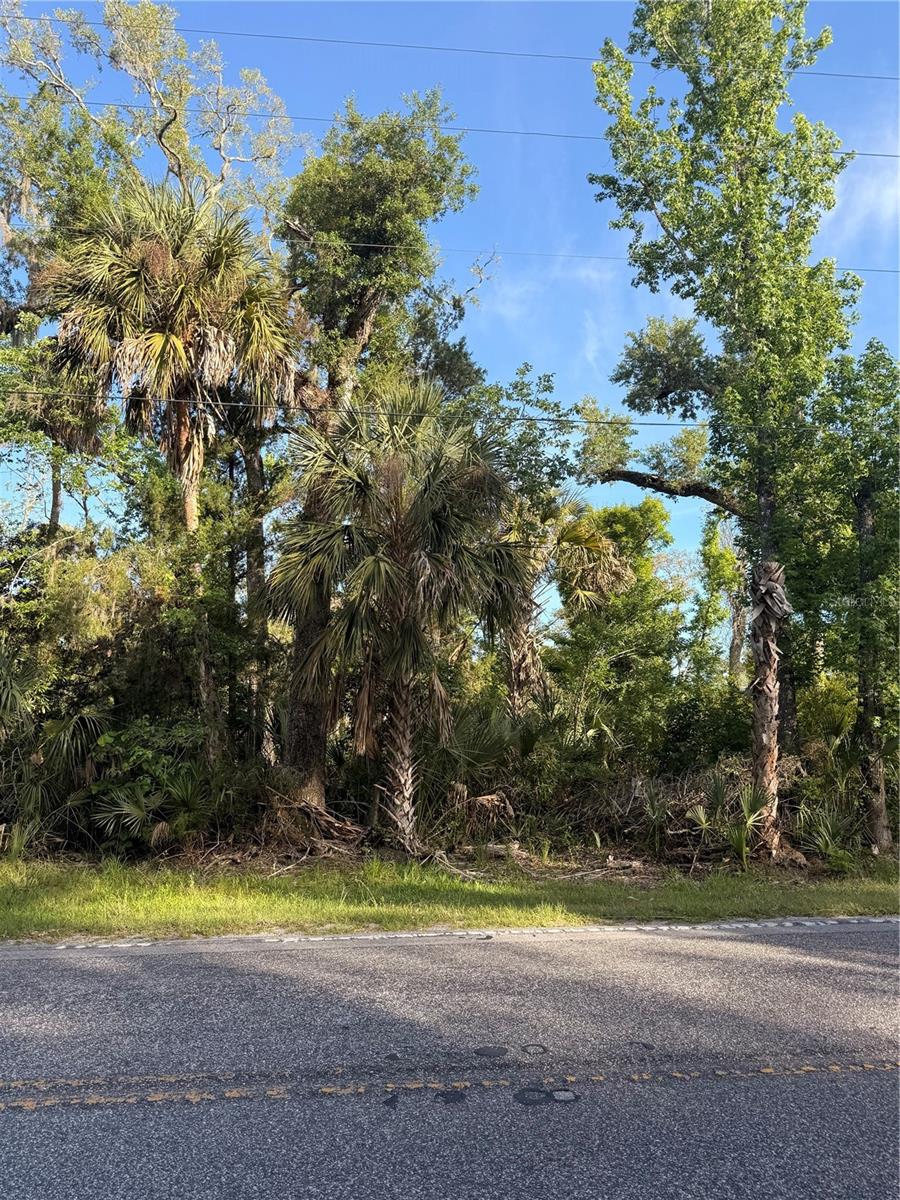 Image 13 of 14 For 10274 Ozello Trail