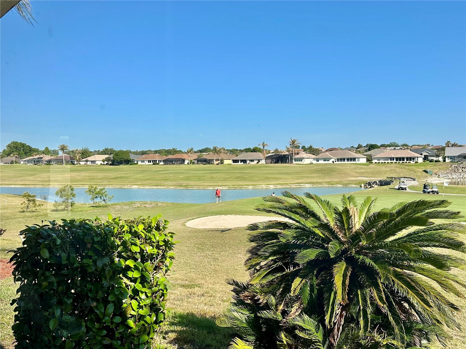 Image 21 of 24 For 17552 119th Circle