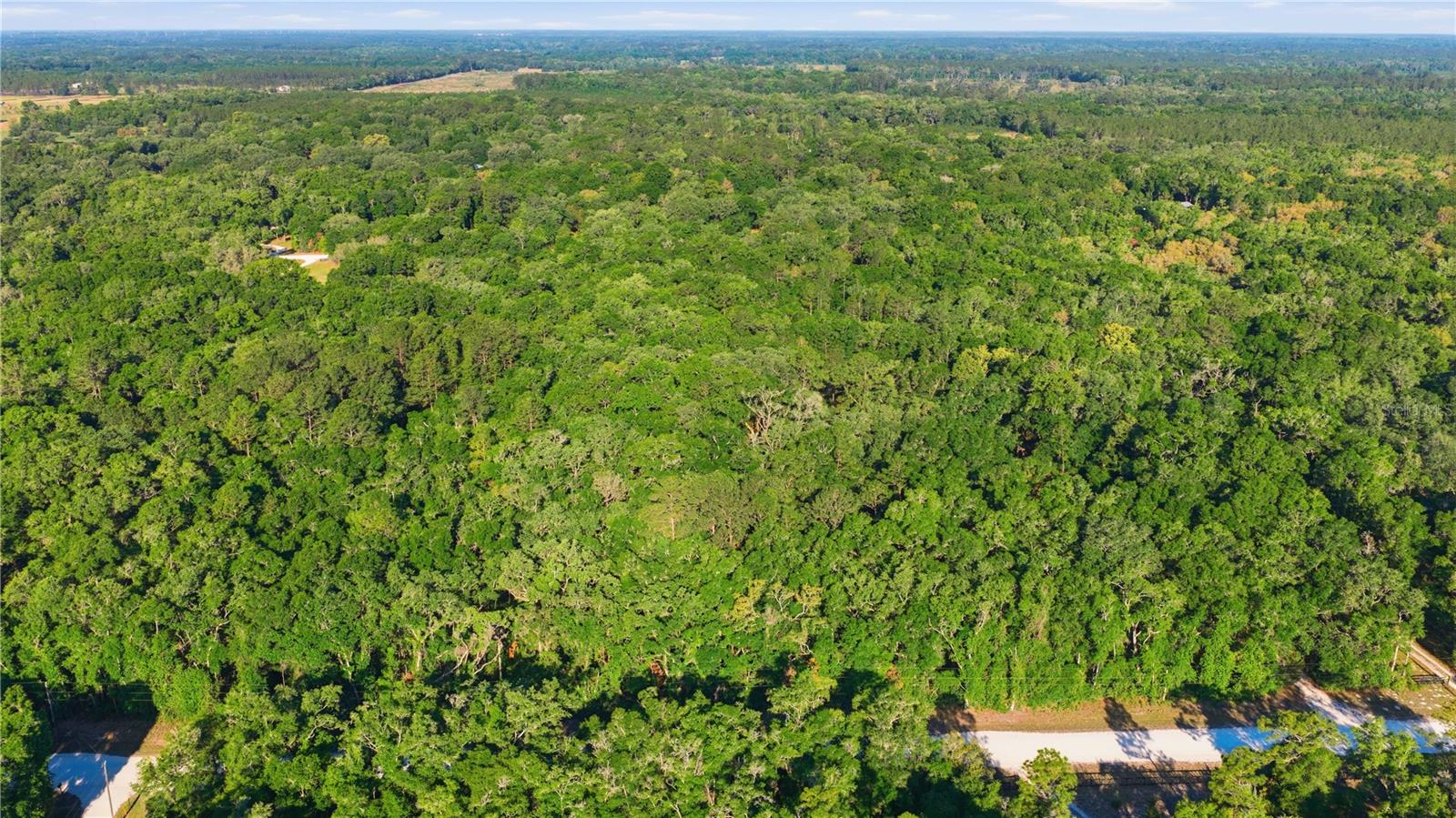 Image 56 of 62 For 7850 178th Terrace