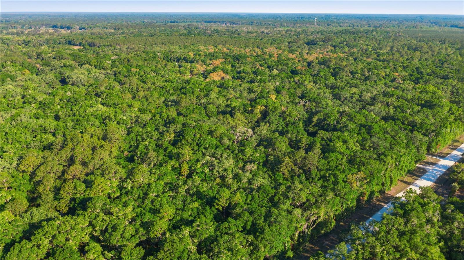 Image 57 of 62 For 7850 178th Terrace