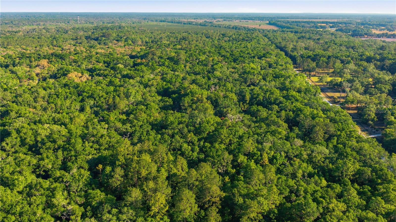 Image 58 of 62 For 7850 178th Terrace