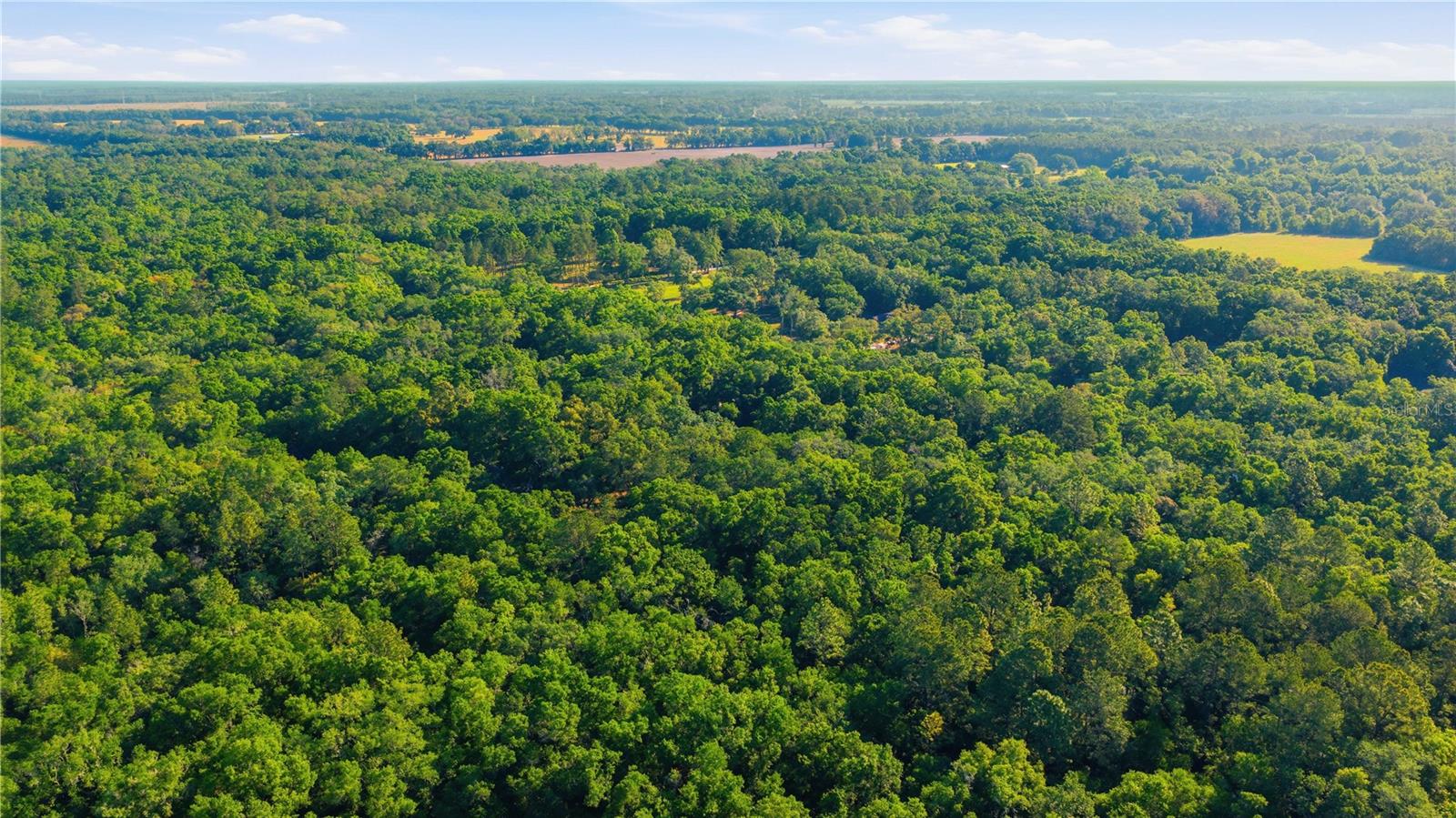 Image 60 of 62 For 7850 178th Terrace