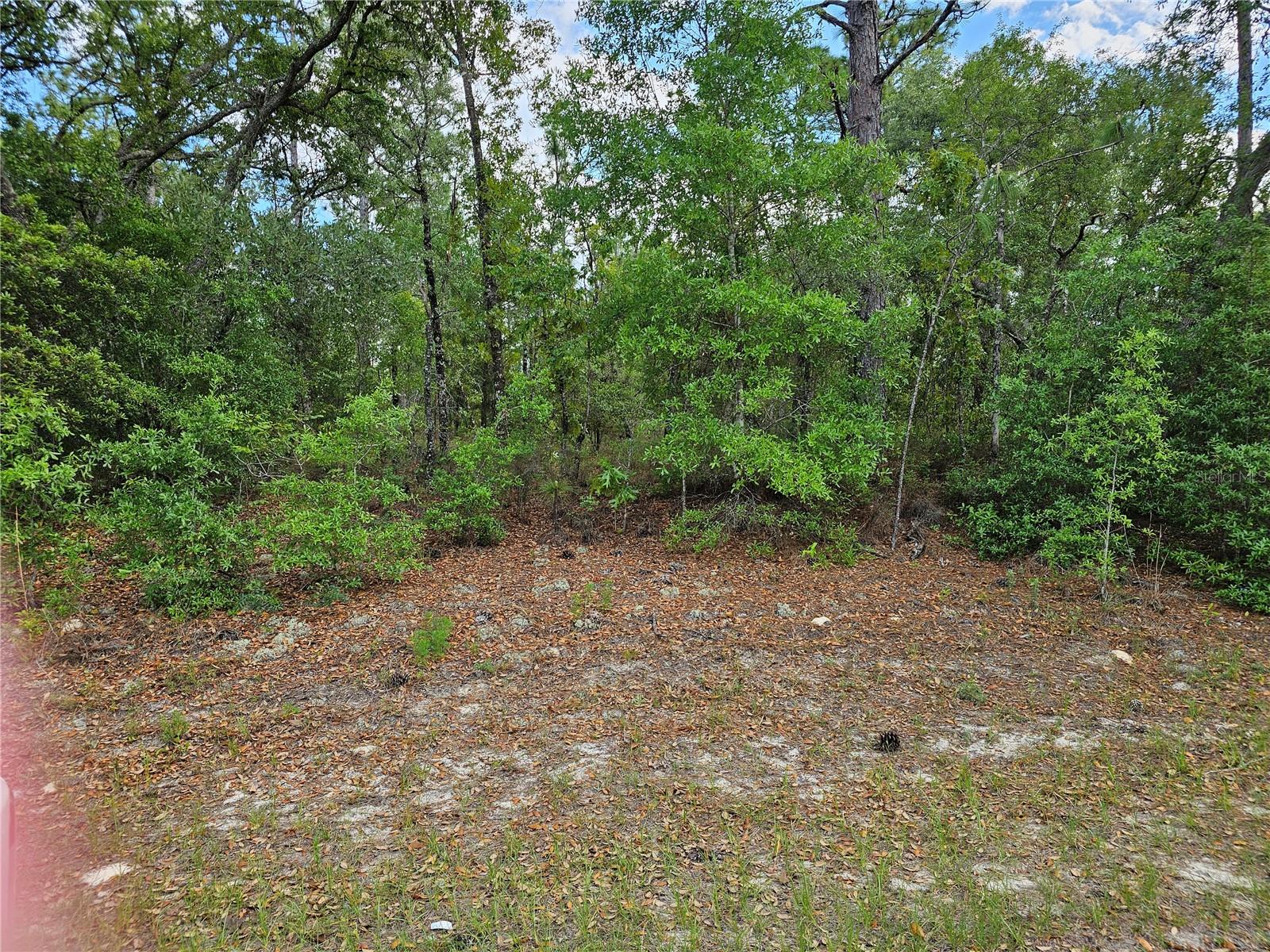 Listing Details for 1681 Skyline Drive, DUNNELLON, FL 34434
