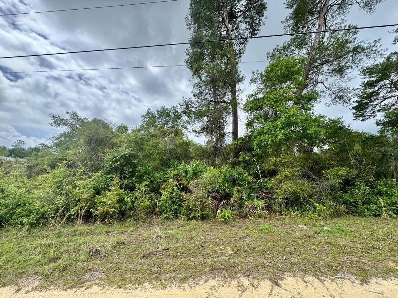 Details for  134th Place , SALT SPRINGS, FL 32134