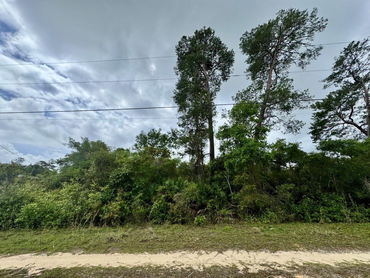 Image 3 of 7 For  134th Place 