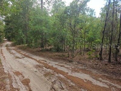 Image 3 of 4 For 0 90  