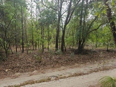 Details for 00 90 Street, DUNNELLON, FL 34432