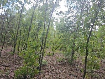 Image 3 of 4 For 00 90 Street