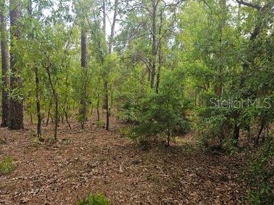 Image 4 of 4 For 00 90 Street