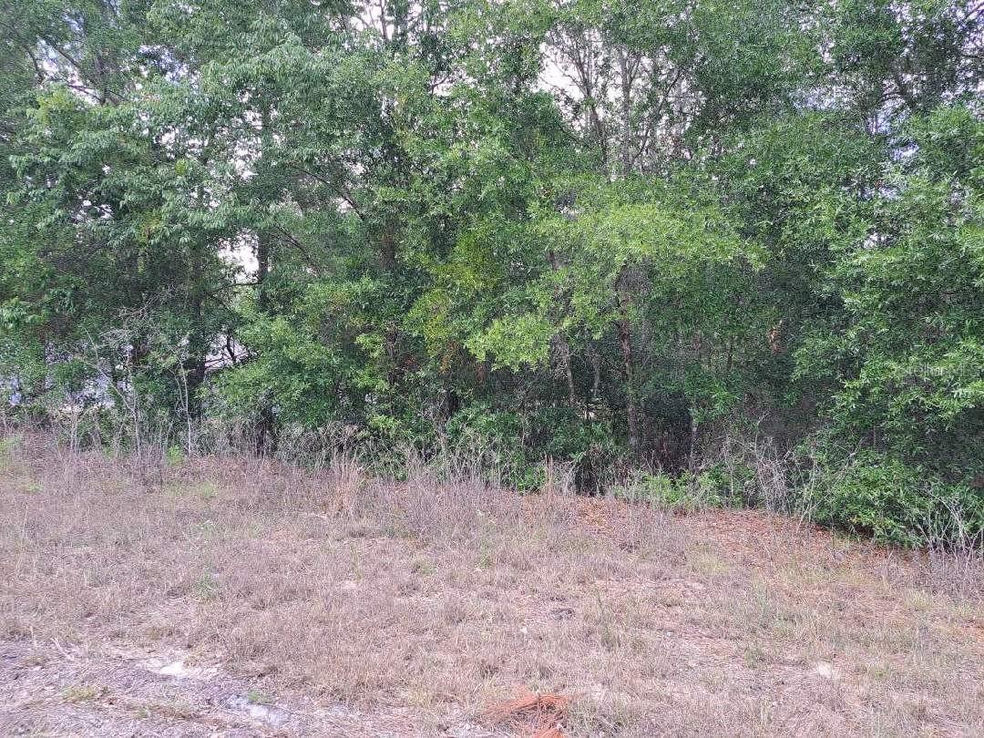Image 4 of 5 For 0 64 Street Road