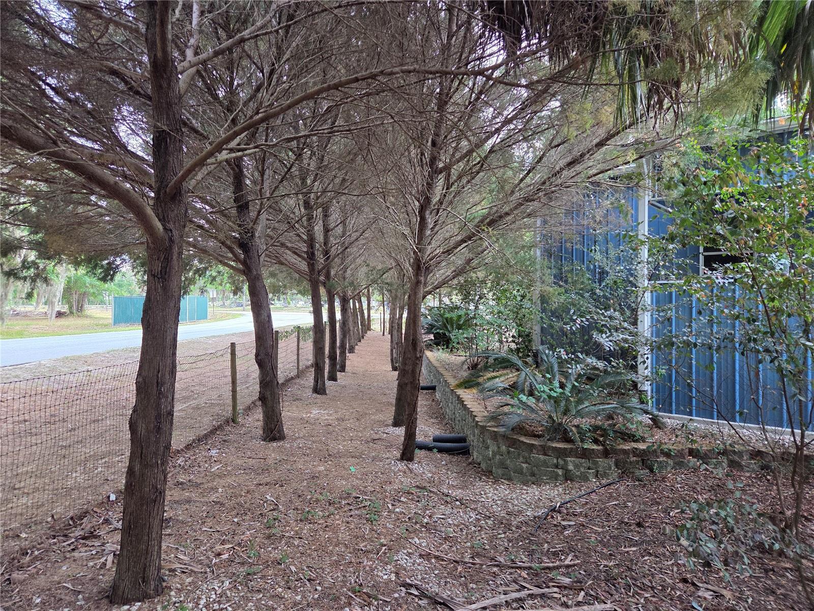 Image 63 of 83 For 421 Margaret Street