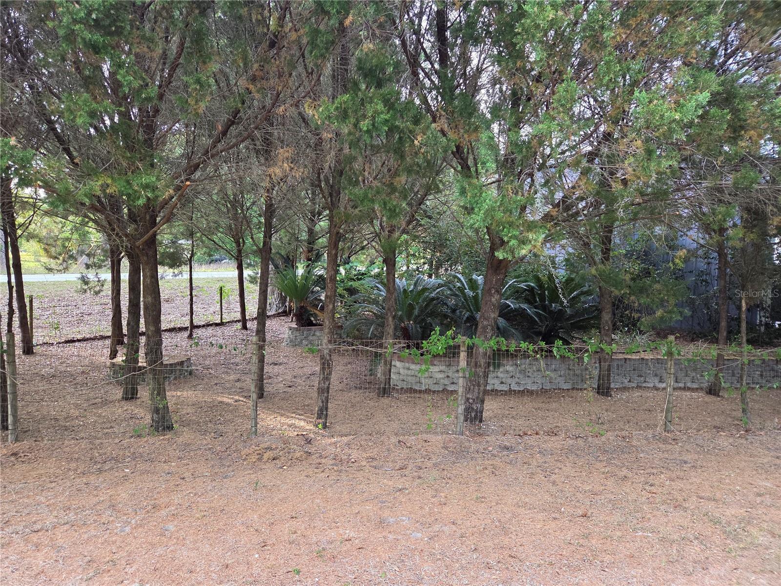Image 68 of 83 For 421 Margaret Street