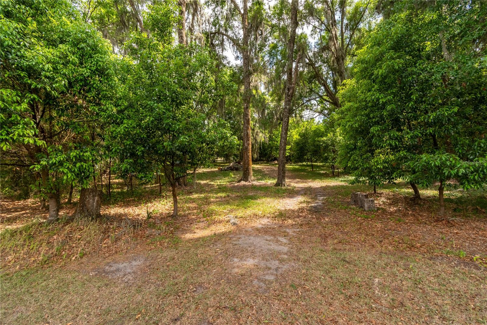 Image 64 of 85 For 5021 101st Street Road