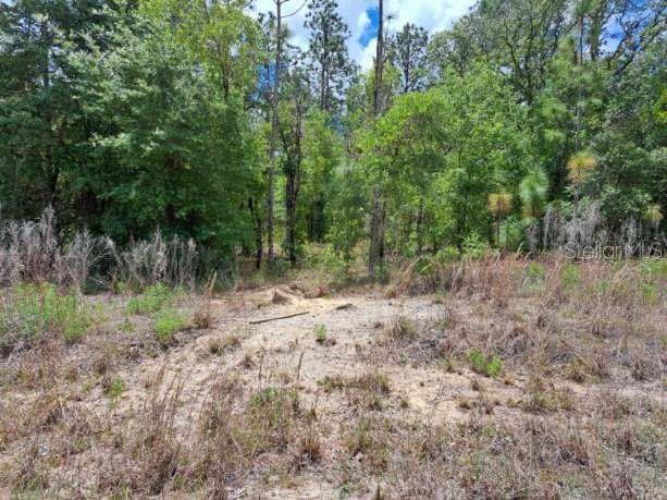 Image 4 of 5 For  89 Street 