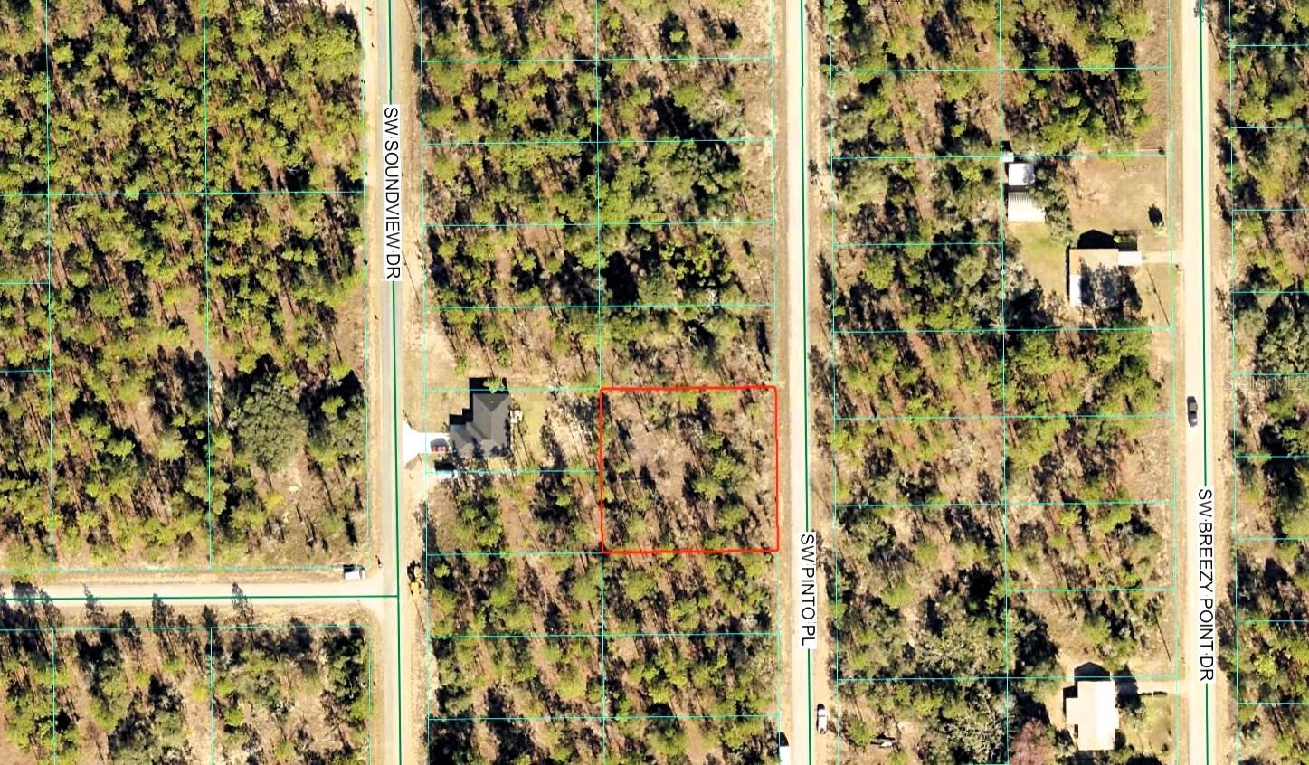 Listing Details for  Sw Pinto Pl  , DUNNELLON, FL 34431
