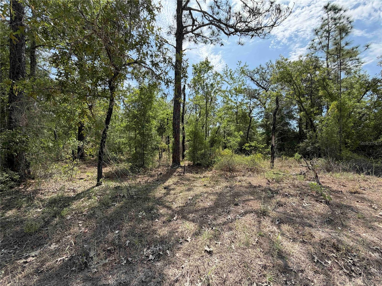 Image 2 of 10 For Tbd 110 Avenue