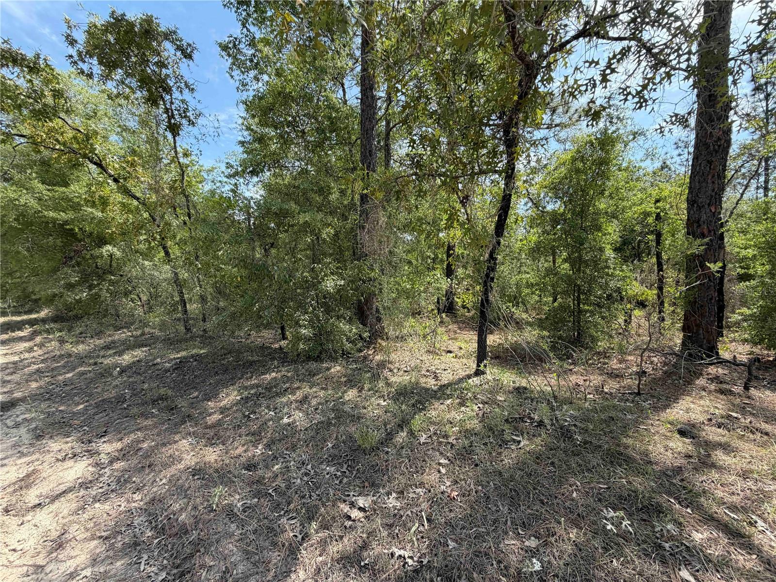 Image 3 of 10 For Tbd 110 Avenue