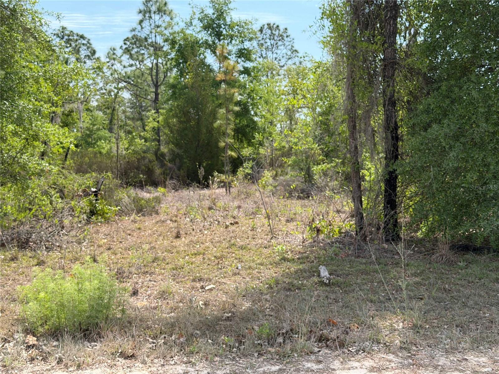 Image 4 of 10 For Tbd 110 Avenue