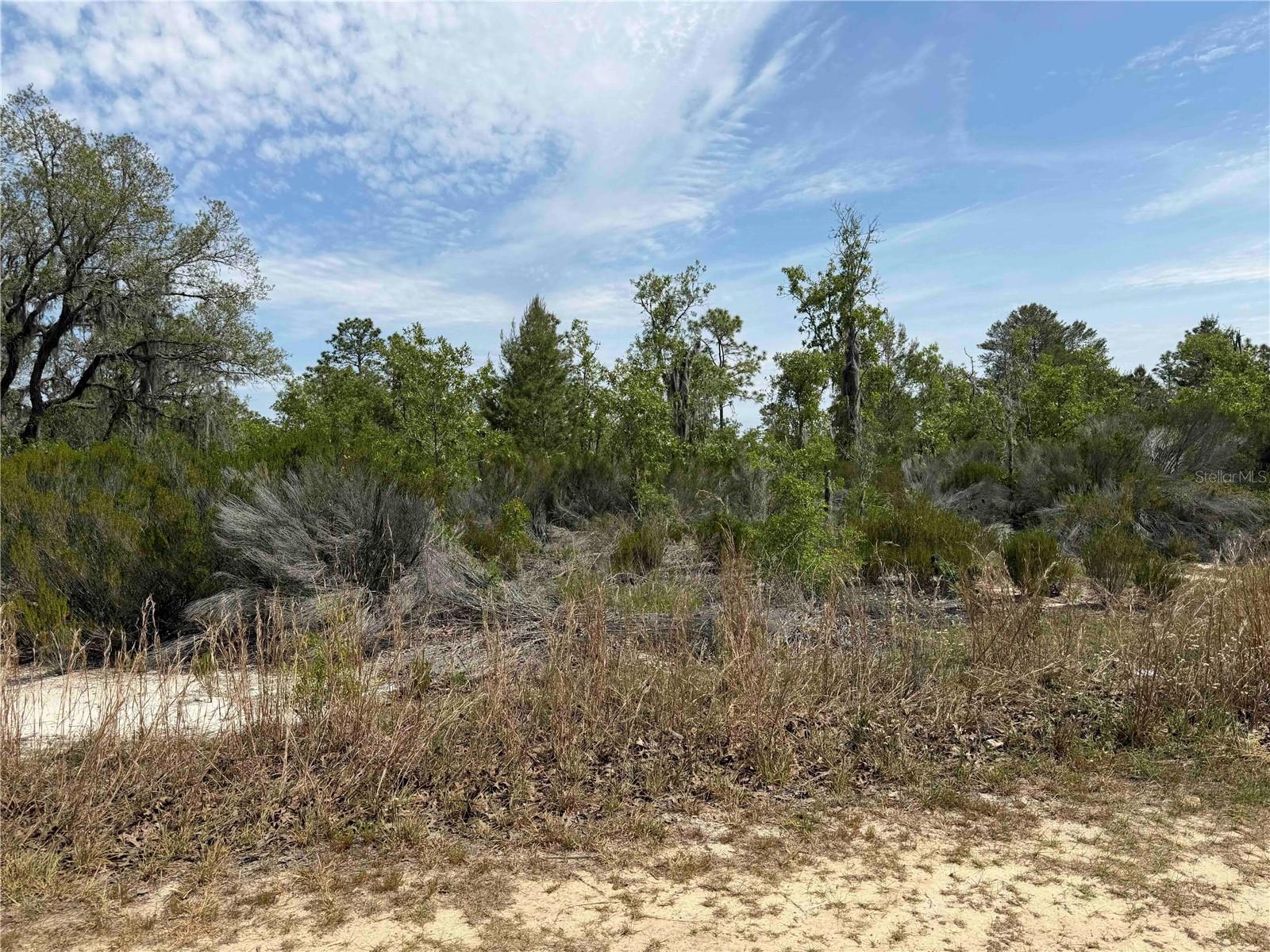 Image 7 of 10 For Tbd 110 Avenue