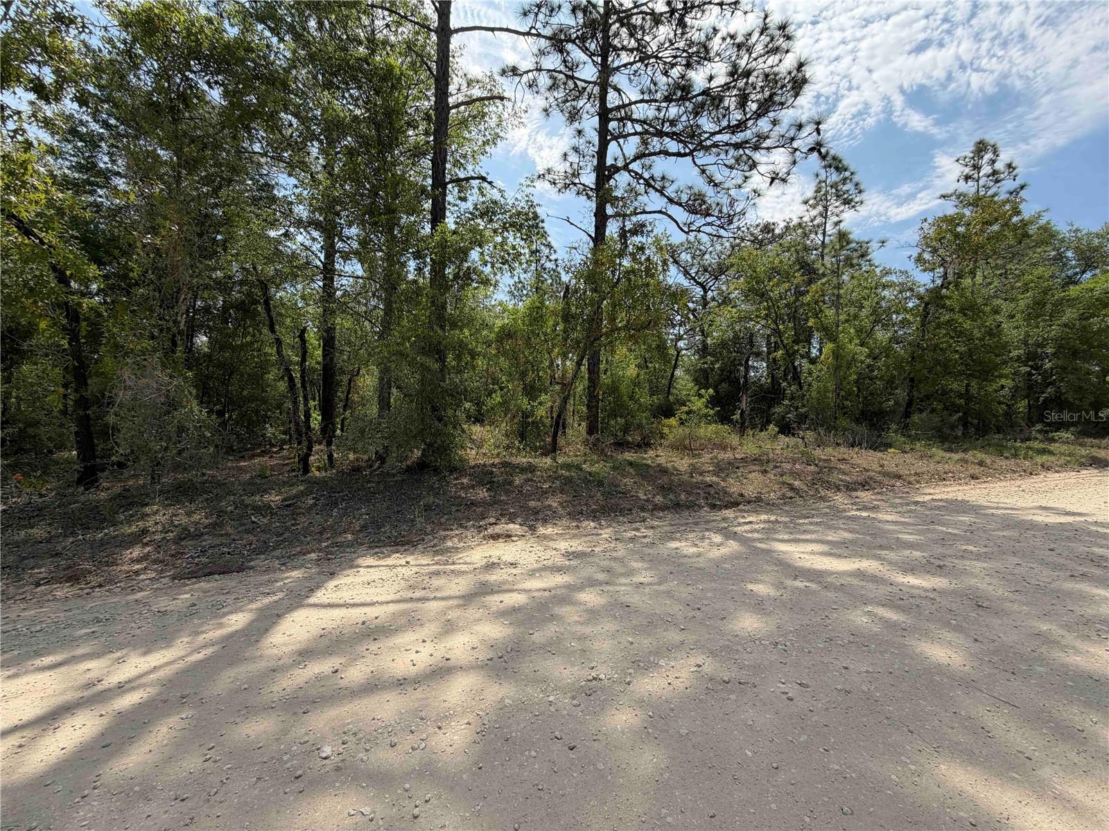 Image 9 of 10 For Tbd 110 Avenue