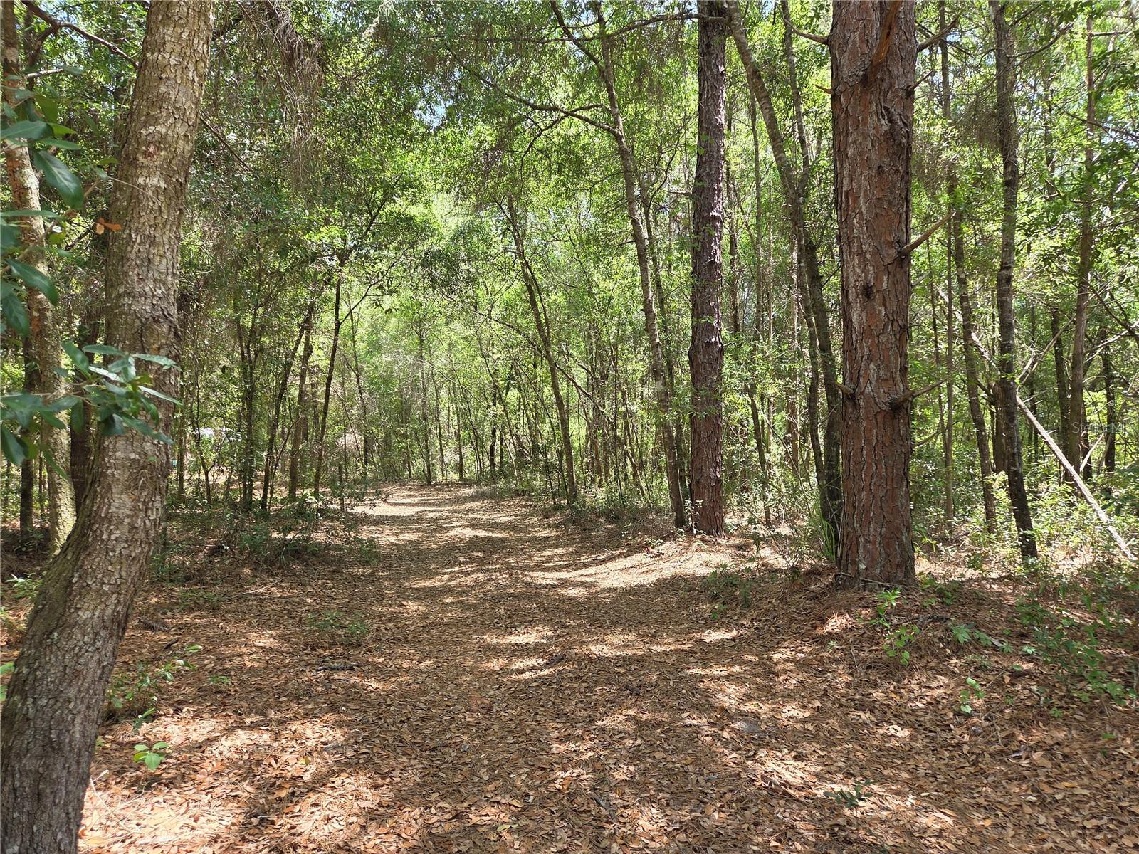 Details for 11953 Glenview Avenue, DUNNELLON, FL 34434