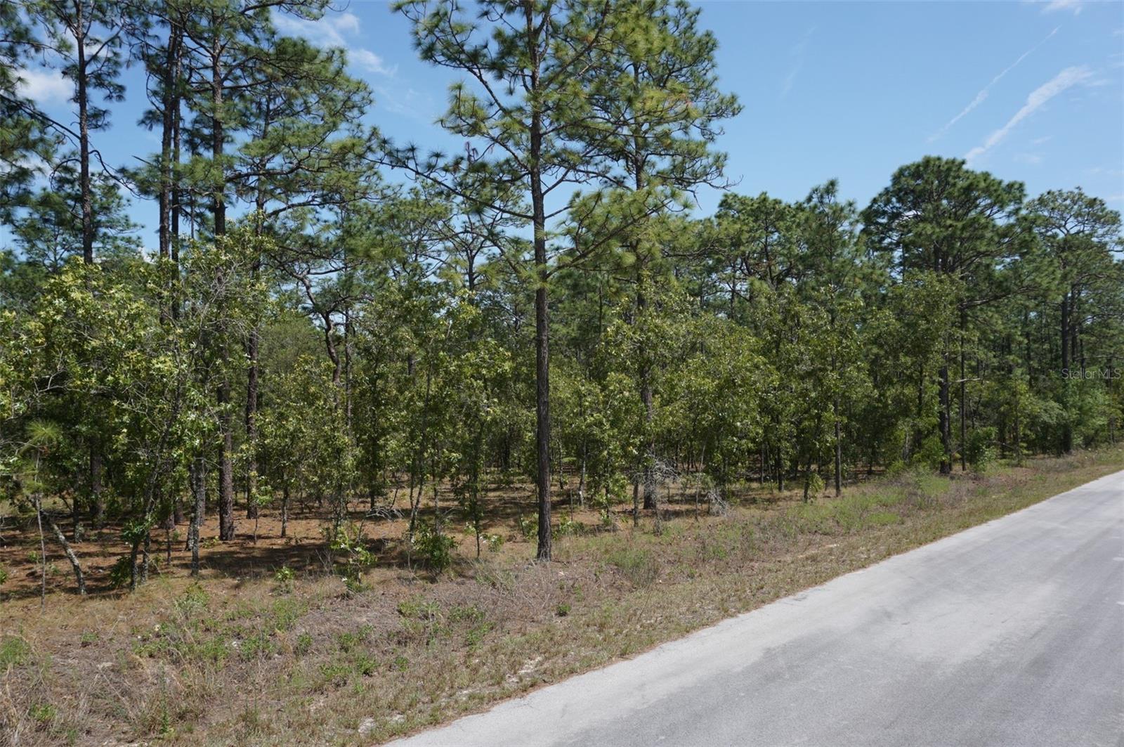 Details for Tbd Tree Top Road, DUNNELLON, FL 34431