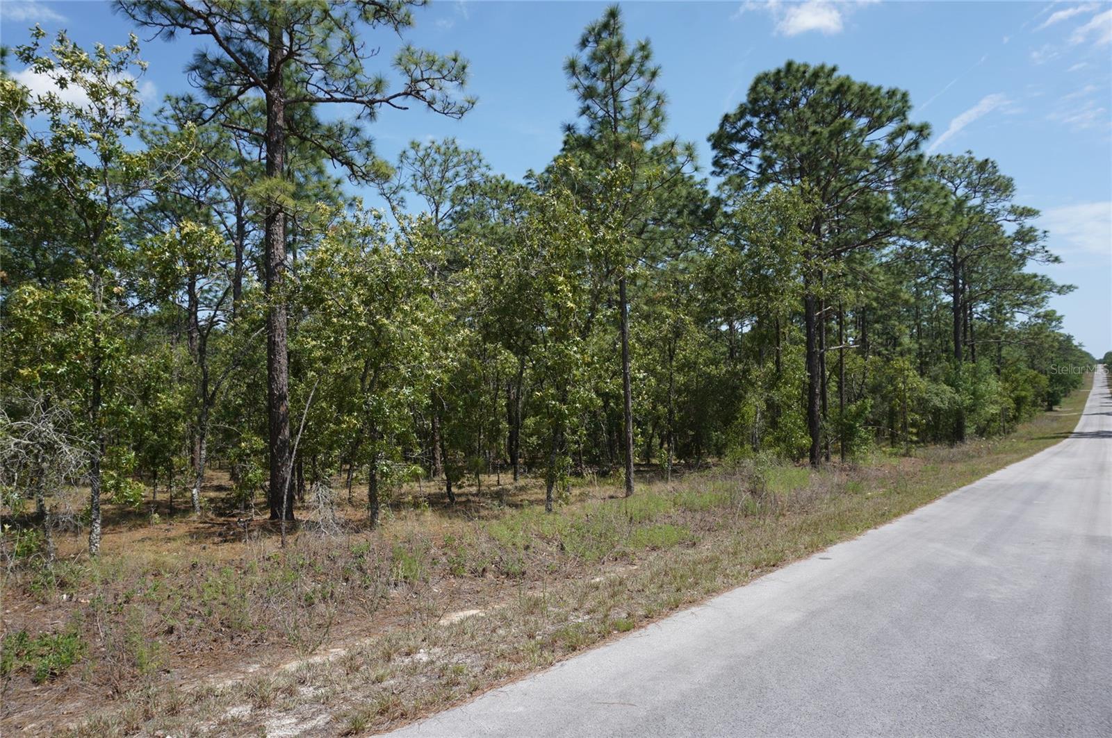 Image 2 of 4 For Tbd Tree Top Road