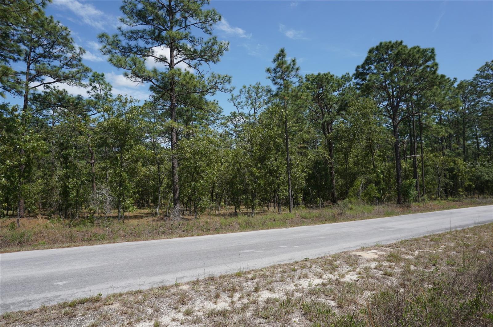 Image 3 of 4 For Tbd Tree Top Road
