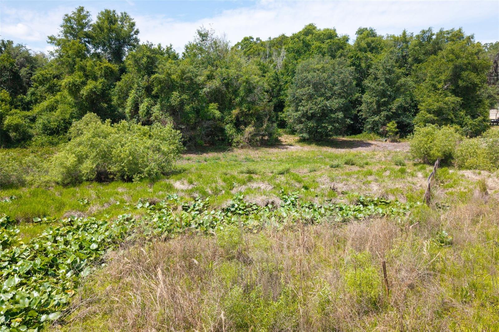 Image 14 of 31 For 3482 County Road 507