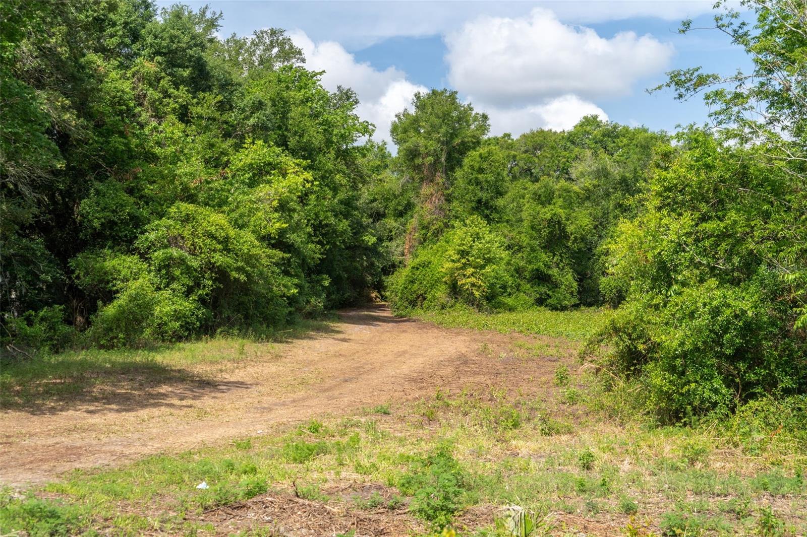 Image 21 of 31 For 3482 County Road 507
