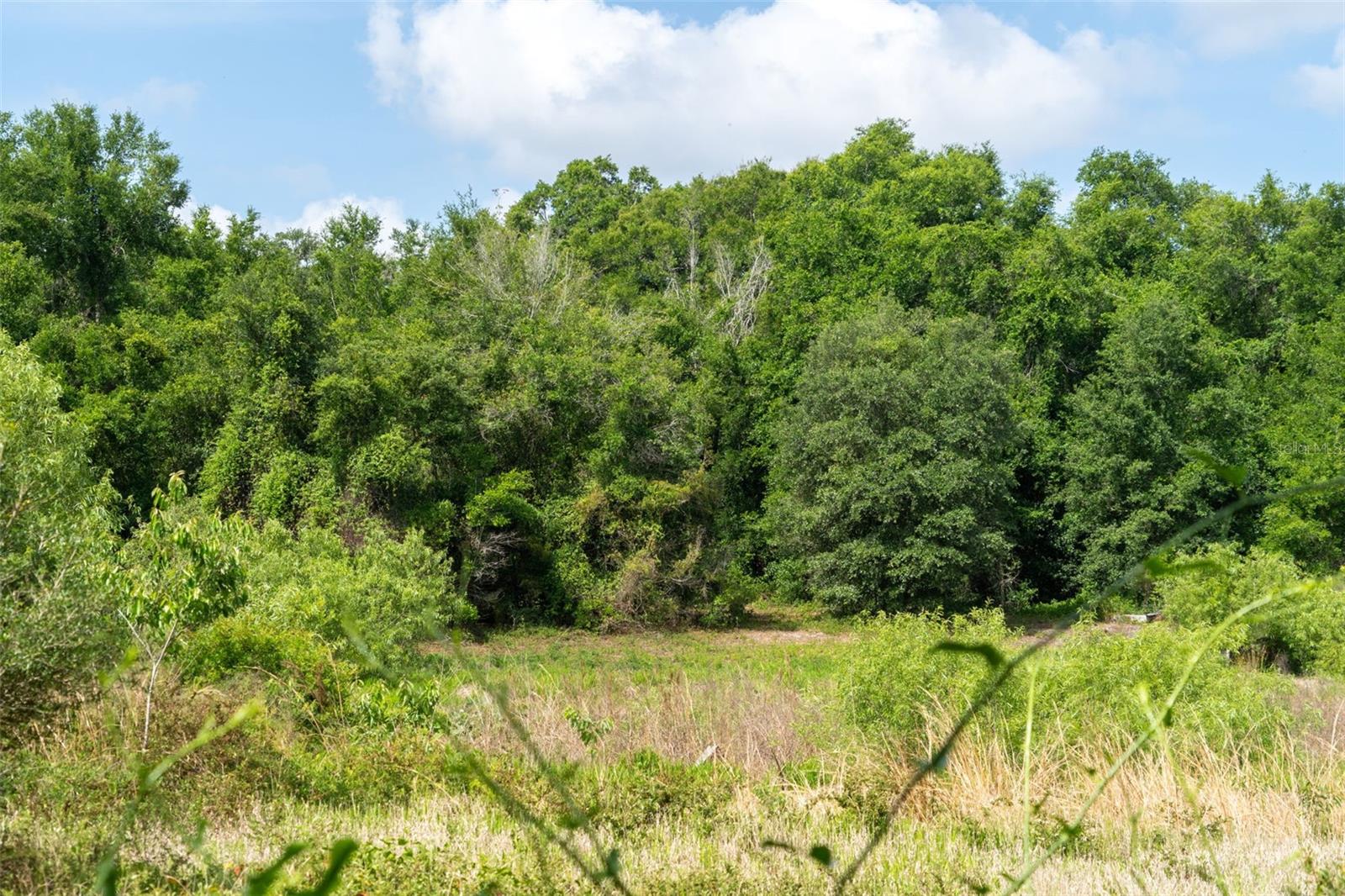 Image 22 of 31 For 3482 County Road 507